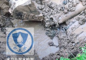 北仑区水管漏水检测公司5
